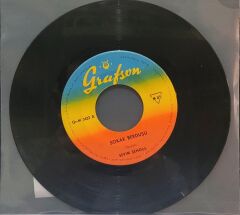 Sevim Şengül - Yalancı / Sokak Berduşu 45'lik