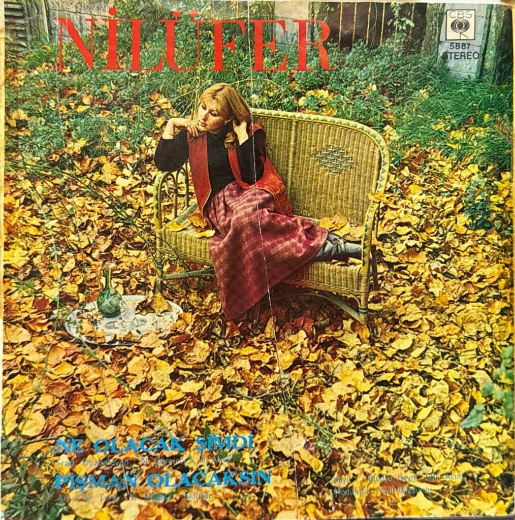 Nilüfer – Ne Olacak Şimdi / Pişman Olacaksın 45'lik