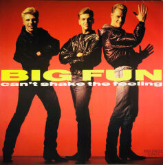 Big Fun – Can't Shake The Feeling
