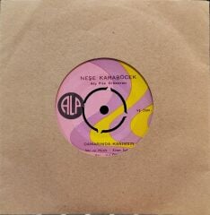 Neşe Karaböcek – Damarımda Kanımsın / Eyvah 45'lik