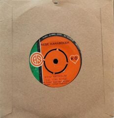 Neşe Karaböcek – Tatlı Dillim Güler Yüzlüm / Katip Arzuhalim Yaz Yare Böyle 45'lik