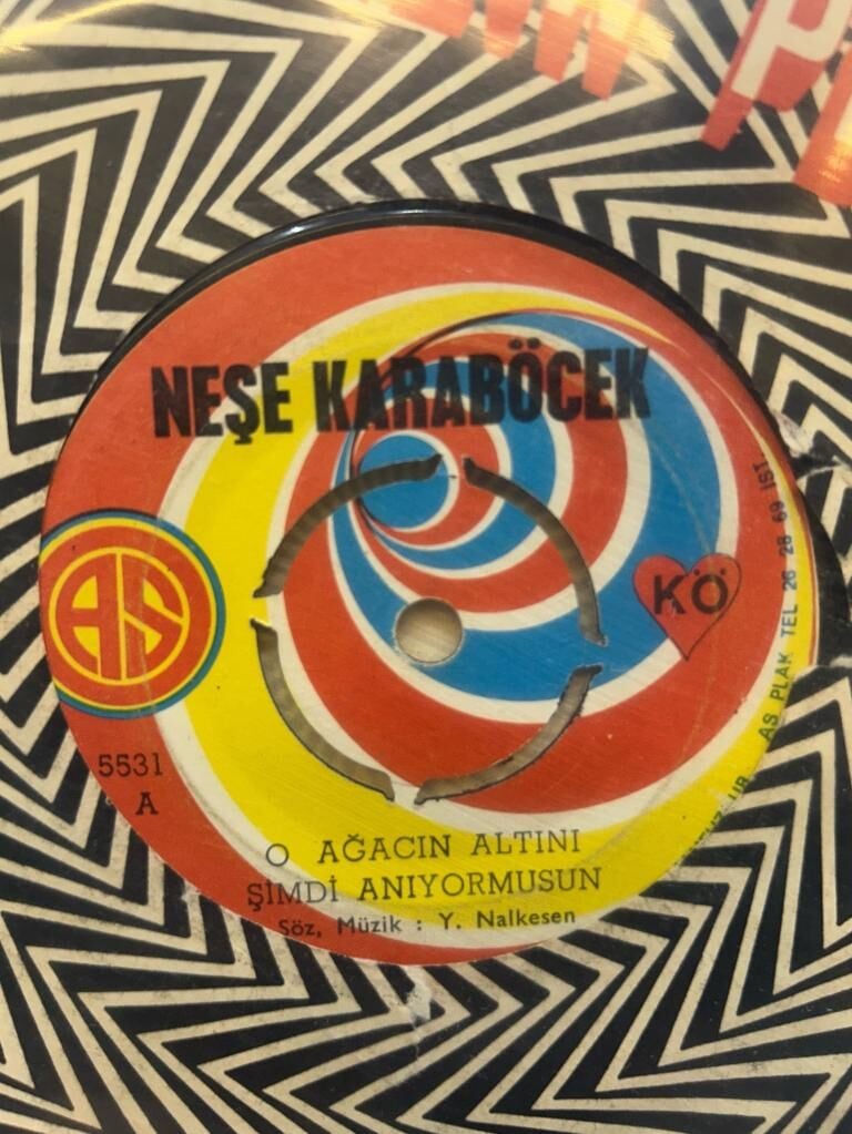 Neşe Karaböcek – O Ağacın Altını Şimdi Anıyor Musun / Boş Gönül Kuşsuz Kafes 1972 BASKI 45LİK