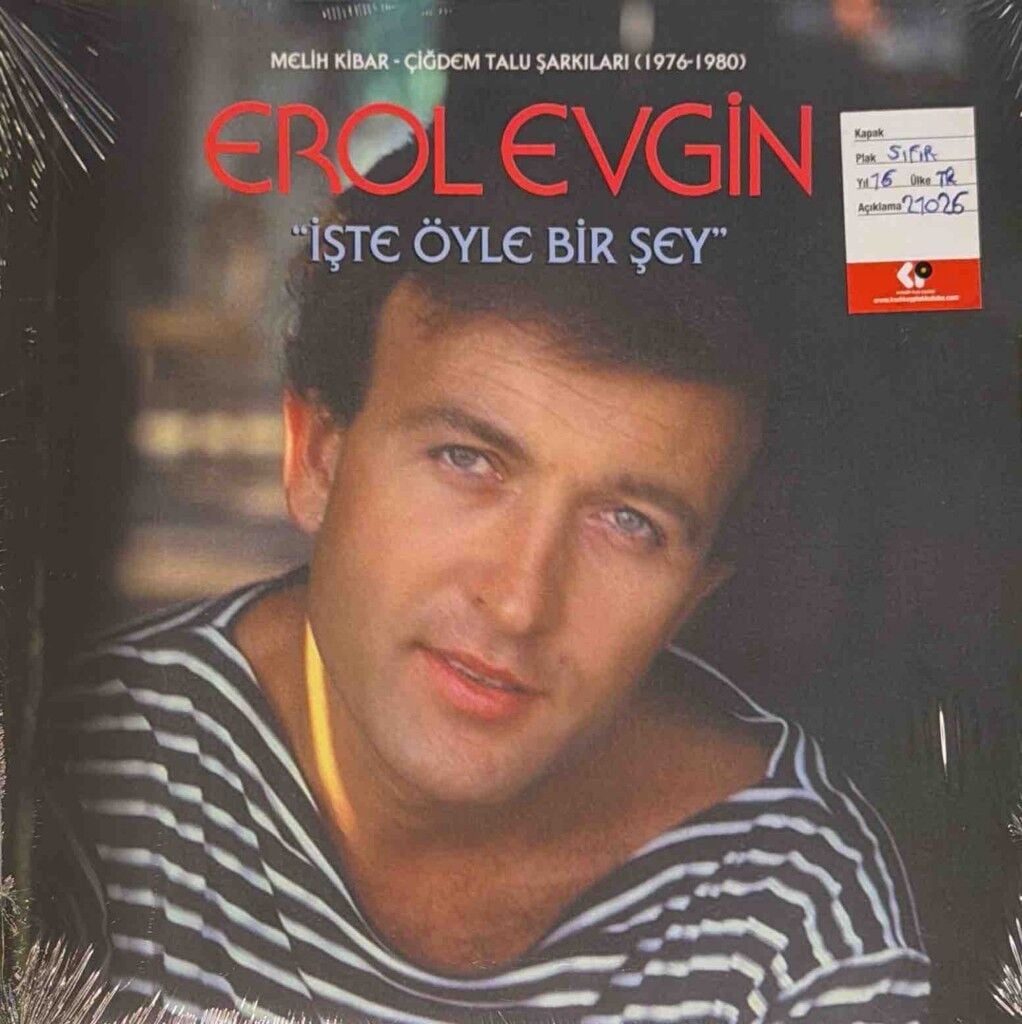 Erol Evgin – İşte Öyle Bir Şey (Melih Kibar - Çiğdem Talu Şarkıları, 1976 - 1980)