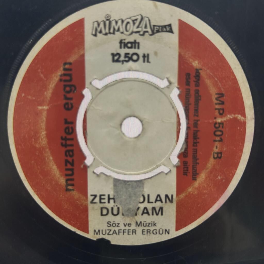 muzaffer ergün – Vicdansız Kadın / Zehir Olan Dünyam 45LİK