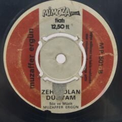 muzaffer ergün – Vicdansız Kadın / Zehir Olan Dünyam 45LİK