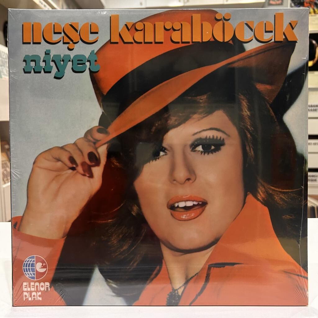 ne-e-karab-cek-niyet-lp