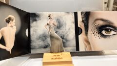 CD CD Celine Dion ‎– Taking Chances CD+DVD