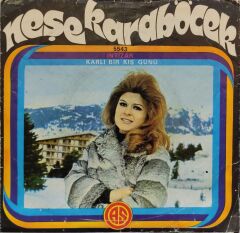 Neşe Karaböcek – İntizar / Karlı Bir Kış Günü 45'lik