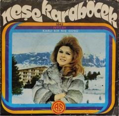 Neşe Karaböcek – İntizar / Karlı Bir Kış Günü 45'lik