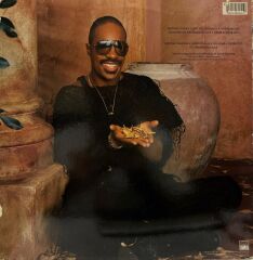Stevie Wonder - in Square Circle LP