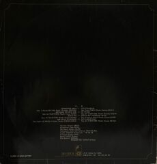 Bülent Ersoy - Düşkünüm Sana LP