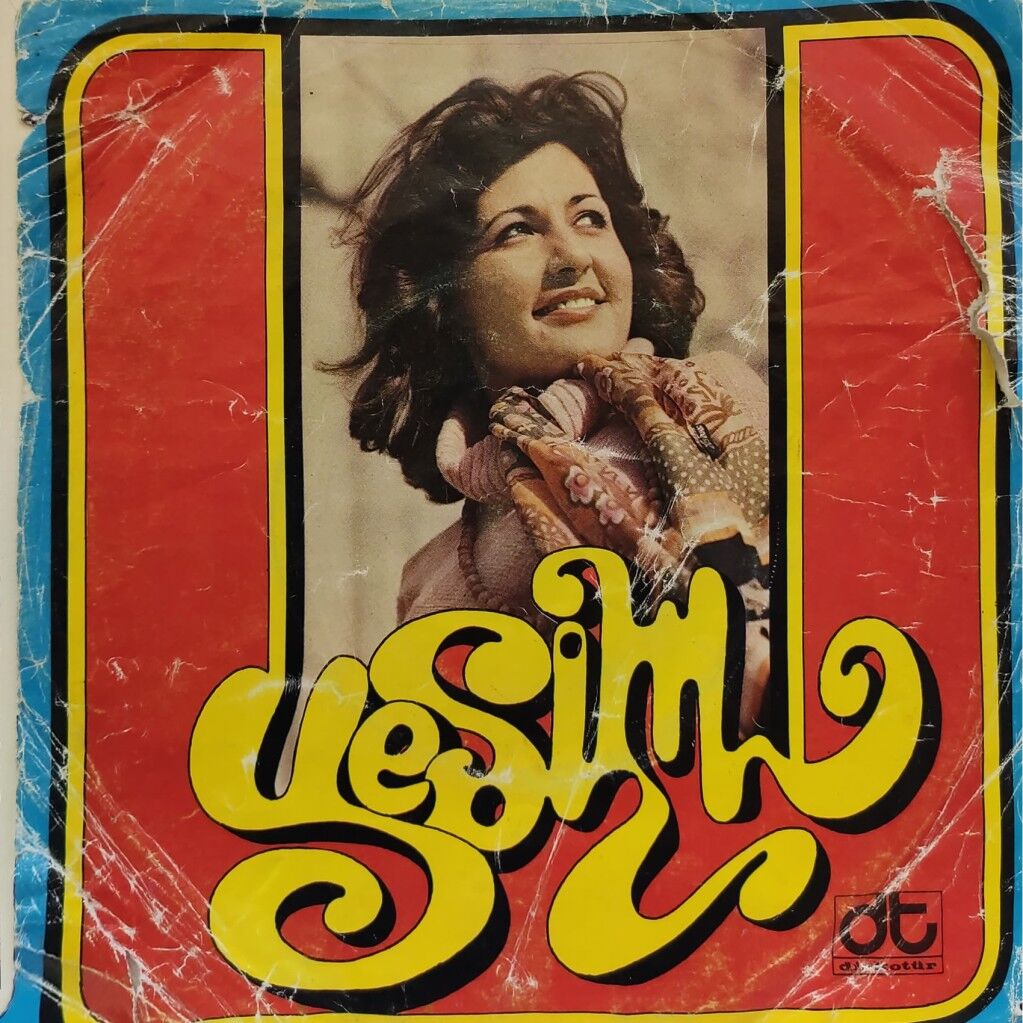 Yeşim – Hani Hani / Aşkın Ömrü Varmı 45'lik
