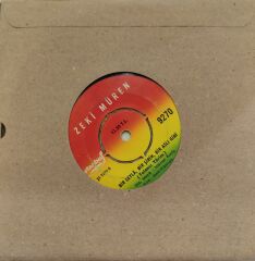 Zeki Müren – Nasıl İçmem Arkadaşım / Bir Leylâ, Bir Şirin, Bir Aslı Gibi (Yalancı Yârim) 45'lik