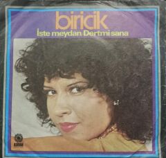Biricik – İşte Meydan / Dertmi Sana 1977 Tr Baskı 45 lik