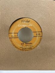 Selçuk Alagöz - Bağ Bozumu/Edremit Van'a Bakar 45lik