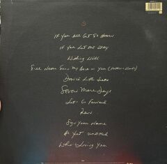 Terence Trent D'Arby - Introducing the Hardline LP