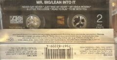KASET Mr. Big – Lean Into It 1991 AVRUPA BASKI KASET
