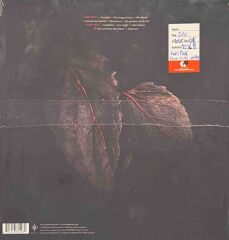 Katatonia – Night Is The New Day