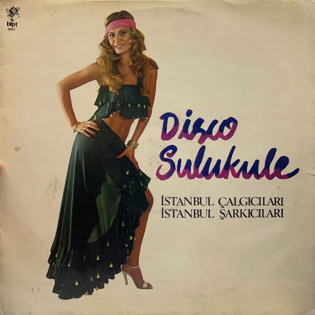 İstanbul Çalgıcıları, İstanbul Şarkıcıları – Disco Sulukule 1979 BASKI LP