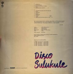 İstanbul Çalgıcıları, İstanbul Şarkıcıları – Disco Sulukule 1979 BASKI LP