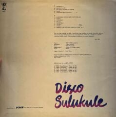 İstanbul Çalgıcıları, İstanbul Şarkıcıları – Disco Sulukule 1979 BASKI LP