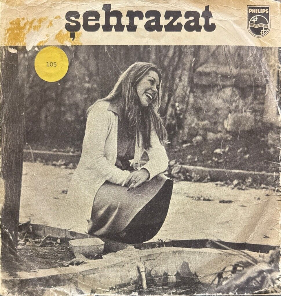 Şehrazat – Kelebek / Dili Dost Kalbi Düşman 45'lik