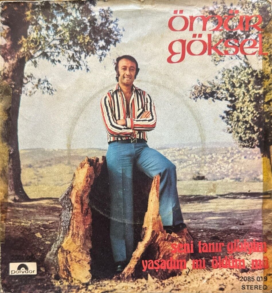 Ömür Göksel – Seni Tanır Gibiyim / Yaşadım Mı Öldüm Mü 45'lik