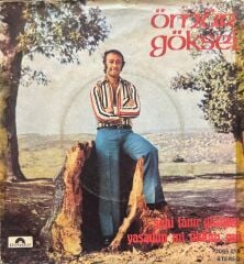 Ömür Göksel – Seni Tanır Gibiyim / Yaşadım Mı Öldüm Mü 45'lik