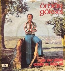 Ömür Göksel – Seni Tanır Gibiyim / Yaşadım Mı Öldüm Mü 45'lik