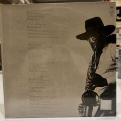 Bruce Springsteen ‎– Born To Run LP