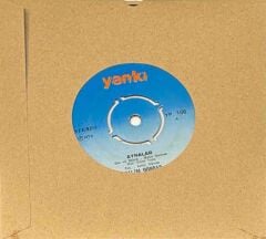 Salim Dündar – Aynalar 45'lik