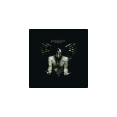 Paradise Lost In Requiem (Reissue) - Plak