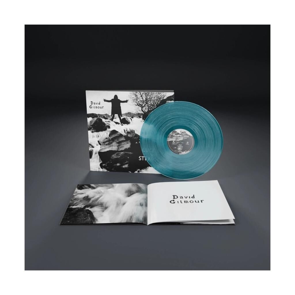 David Gilmour - Luck And Strange (Plak)