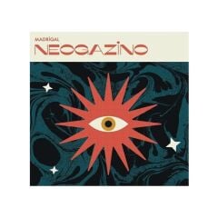 Madrigal Neogazino Plak Rock Müzik 33 RPM Kaliteli Ses Deneyimi