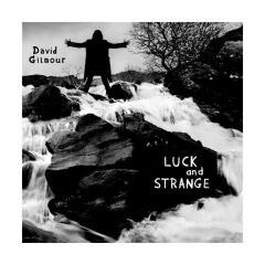 David Gilmour - Luck And Strange (Plak)