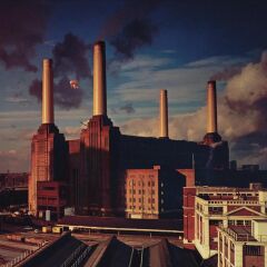 Pink Floyd - Animals (Plak)