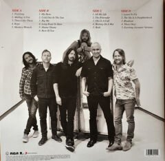 The Essential Foo Fighters