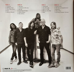 The Essential Foo Fighters