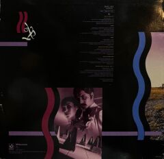 Pink Floyd- A Collection of Great Dance Songs LP