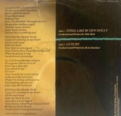 Alvin Stardust – I Feel Like Buddy Holly 1984 AVRUPA BASKI 45LİK