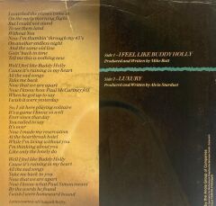 Alvin Stardust – I Feel Like Buddy Holly 1984 AVRUPA BASKI 45LİK