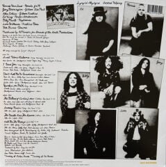Lynyrd Skynyrd – Second Helping (Sarı Plak)