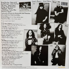 Lynyrd Skynyrd – Second Helping (Sarı Plak)