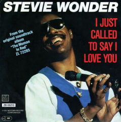 Stevie Wonder – I Just Called To Say I Love You 45'lik