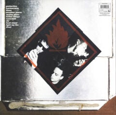 Massive Attack – Protection