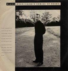 Black – Everything's Coming Up Roses / Ravel In The Rain 45'lik