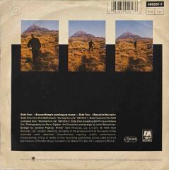 Black – Everything's Coming Up Roses / Ravel In The Rain 45'lik