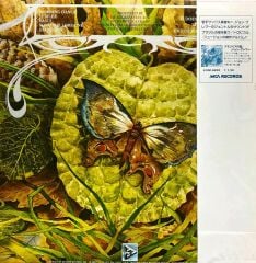 Spyro Gyra – Morning Dance