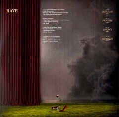 Raye – This Music May Contain Hope. (Sarı Plak)