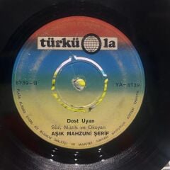Aşık Mahzuni Şerif ‎– Bitmez Tükenmez Geceler, Dost Uyan 45lik